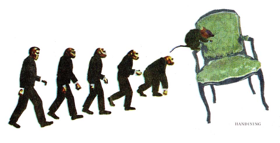 Electoral De-evolution